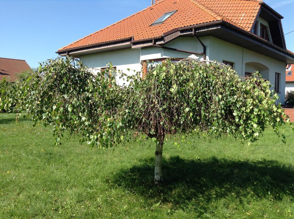 שצ'צ'ין Landhaus Mit Garten מראה חיצוני תמונה