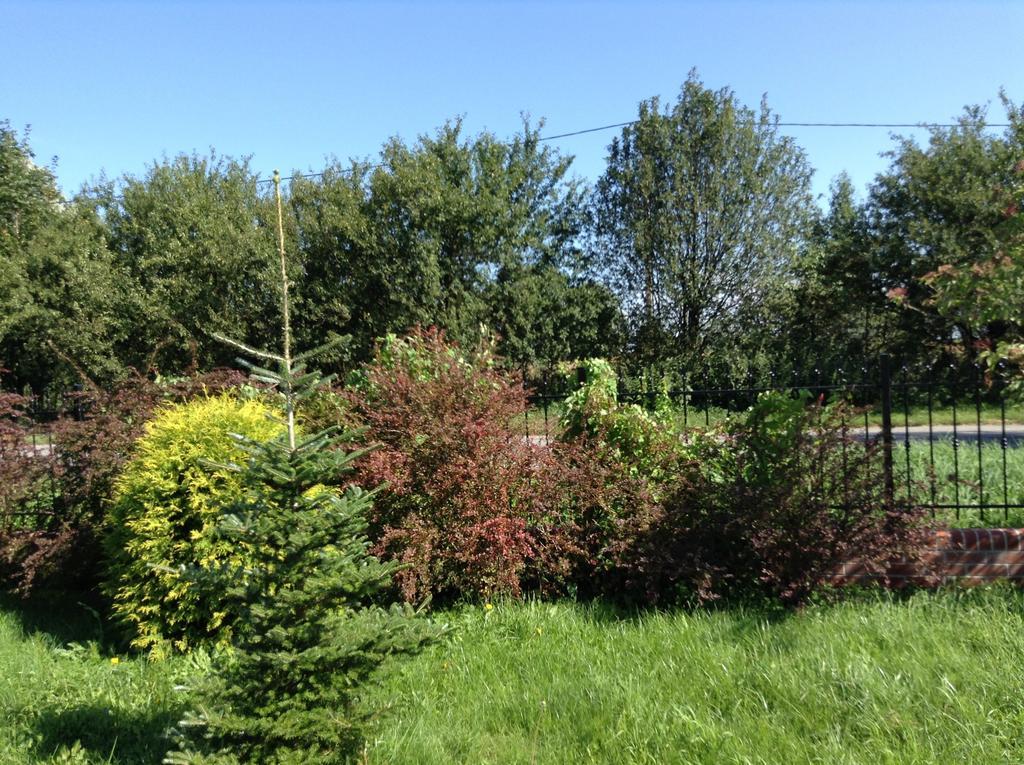 שצ'צ'ין Landhaus Mit Garten מראה חיצוני תמונה